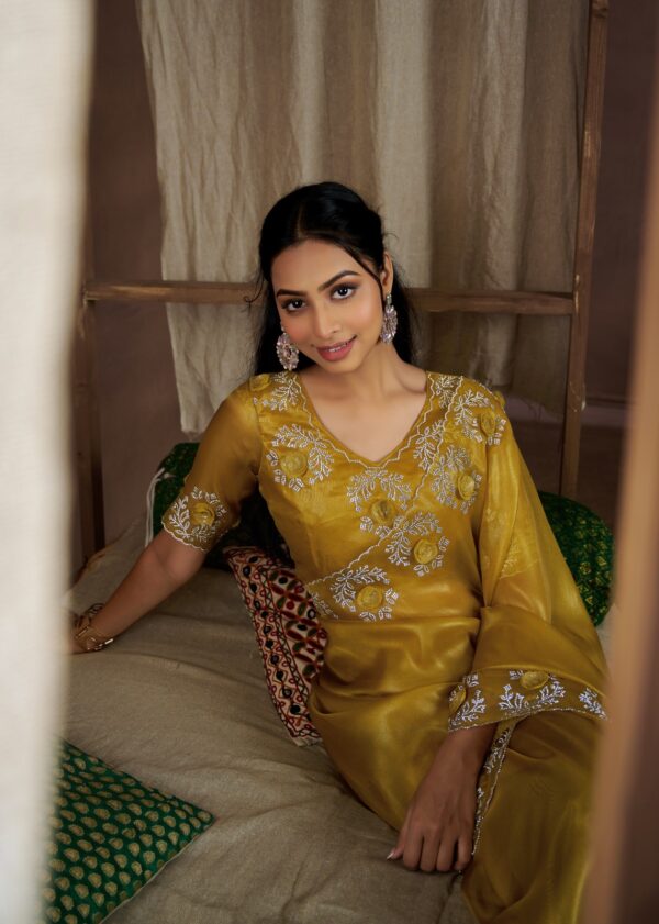 Super Coat Saree - Image 2