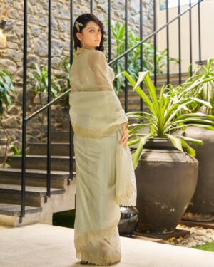 Saree – Paula Super Coat Handwork