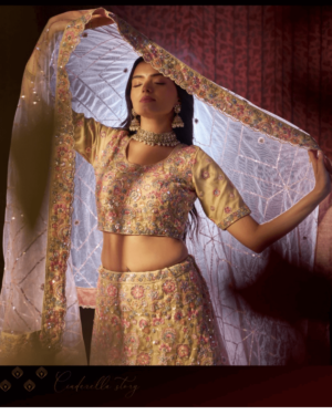 Beige Net Lehenga Set