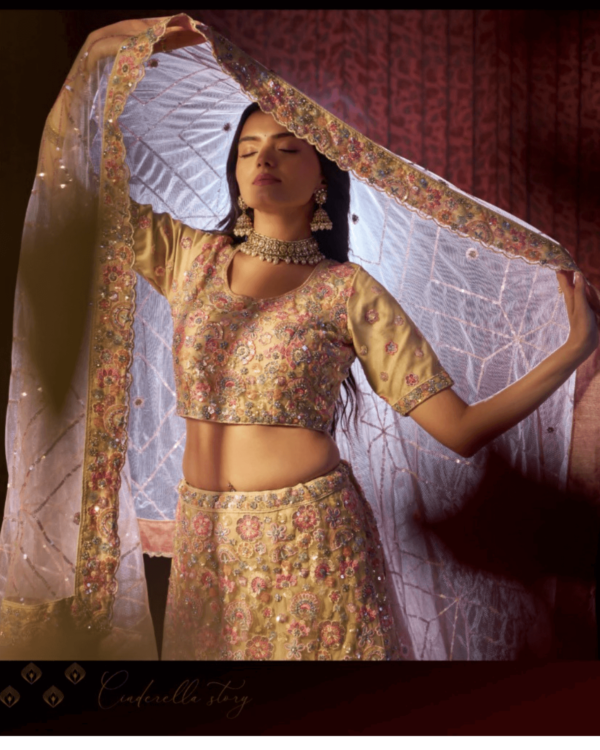 Beige Net Lehenga Set with Soft Net Dupatta and Thread, Sequins Work
