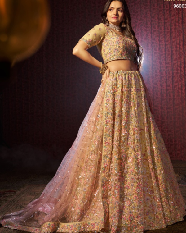 Beige Net Lehenga Set - Image 3