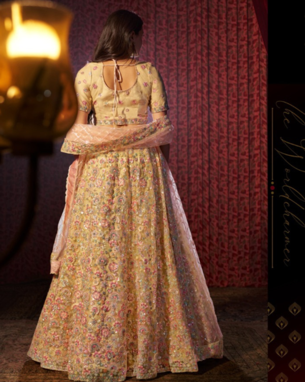 Beige Net Lehenga Set - Image 2
