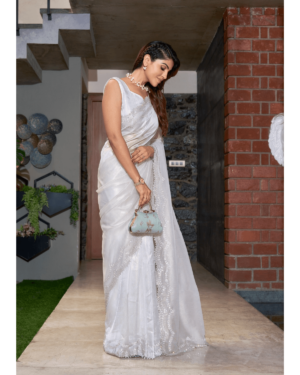 Mehek Saree Coat with Hand Work